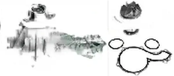 538 0339 10 INA Pompa dell’acqua, raffreddamento motore